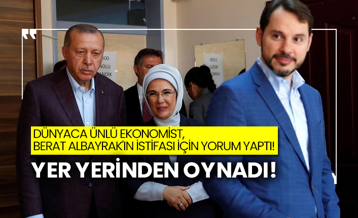 Dünyaca ünlü ekonomist, Berat Albayrak'ın istifası için yorum yaptı!