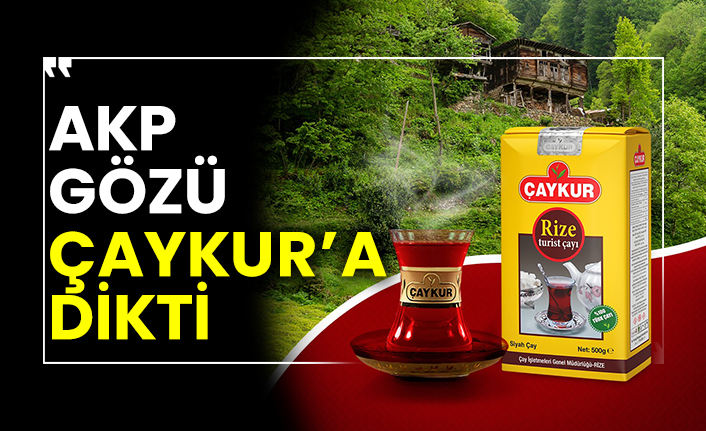 AKP gözü ÇAYKUR’a dikti