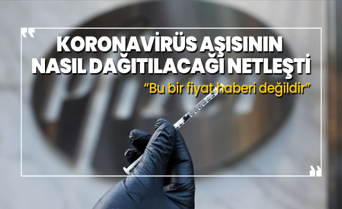 Koronavirüs aşısının  nasıl dağıtılacağı netleşti