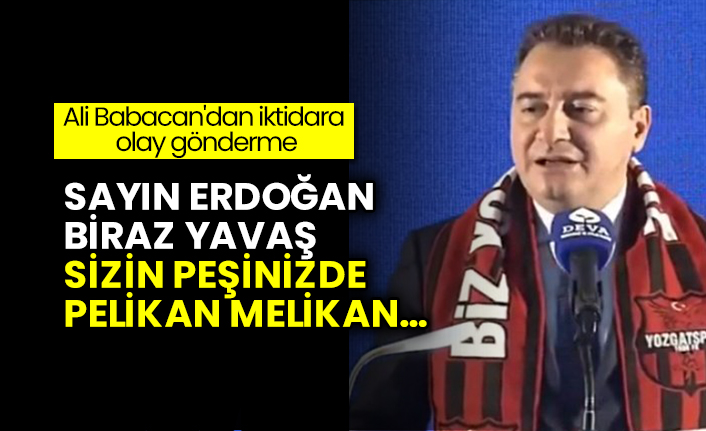 Ali Babacan'dan iktidara olay gönderme: Sayın Erdoğan, biraz yavaş sizin peşinizde pelikan melikan…
