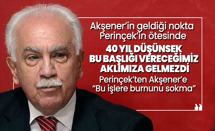 Perinçek’ten Akşener’e  “Bu işlere burnunu sokma”