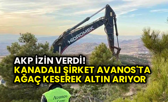 AKP izin verdi! Kanadalı şirket Avanos'ta ağaç keserek altın arıyor! Borsa İstanbul Katar'a, Avanos Kanada'ya satıldı