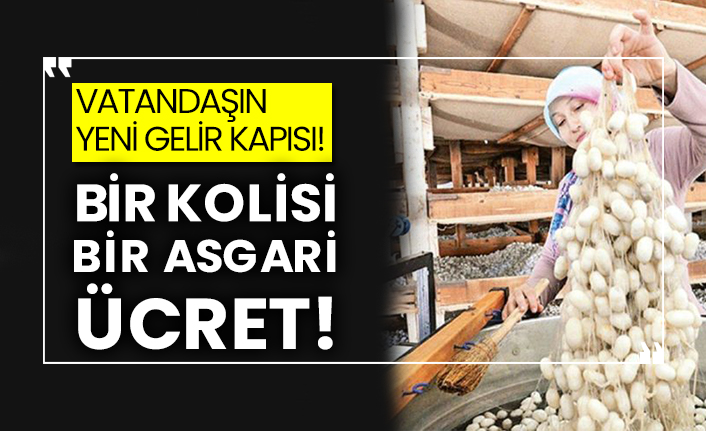 Vatandaşın yeni gelir kapısı!  Bir kolisi bir asgari ücret!