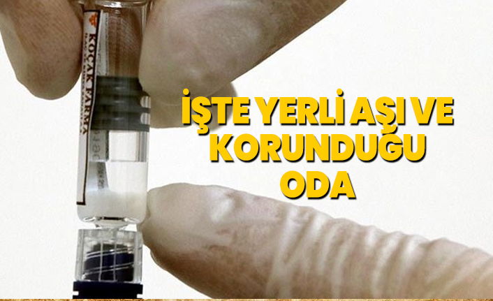 İşte Yerli aşı ve korunduğu  oda