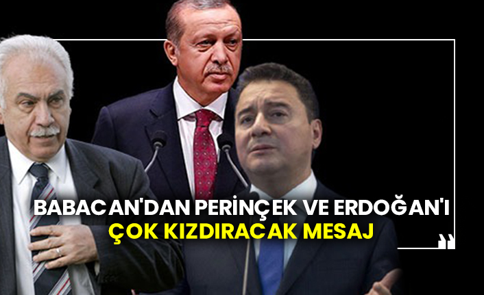 Babacan'dan Perinçek ve Erdoğan'ı çok kızdıracak mesaj