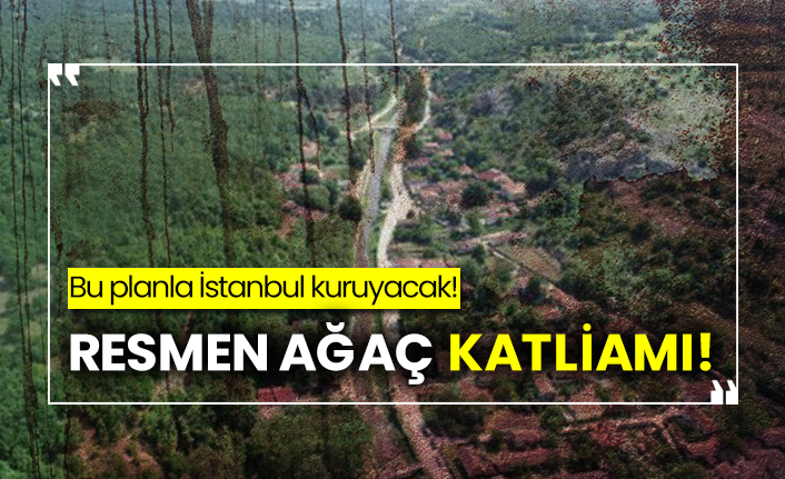 Bu planla İstanbul kuruyacak! Resmen ağaç katliamı!