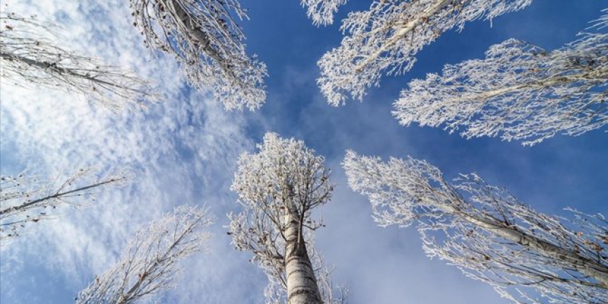 Meteoroloji'den 4 il için kritik uyarı!