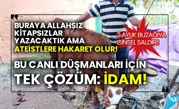 2 aylık buzağıya cinsel saldırı!
