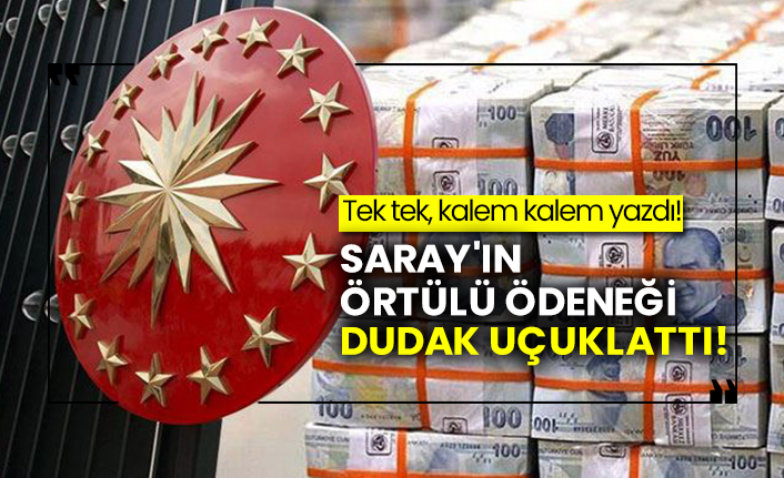 Saray'ın örtülü ödeneği dudak uçuklattı!