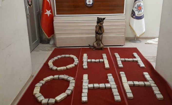 Polislerden Süleyman Soylu'ya ‘oh oh desteği’