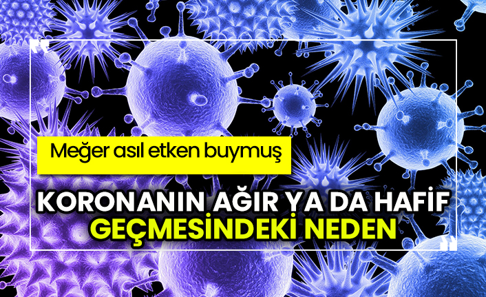Korona virüsün ağır ya da hafif geçmesindeki nedeni açıkladılar, meğer asıl etken buymuş