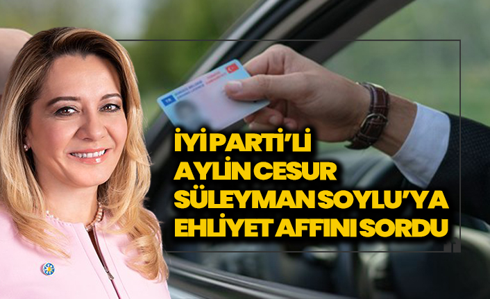 İYİ Parti'li Aylin Cesur, Süleyman Soylu'ya ehliyet affını sordu