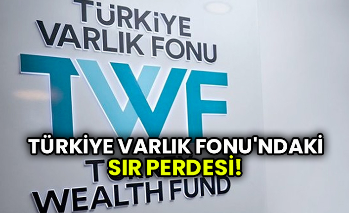 Türkiye Varlık Fonu'ndaki sır perdesi! THY’ne neler olduğu soruları yanıtsız…