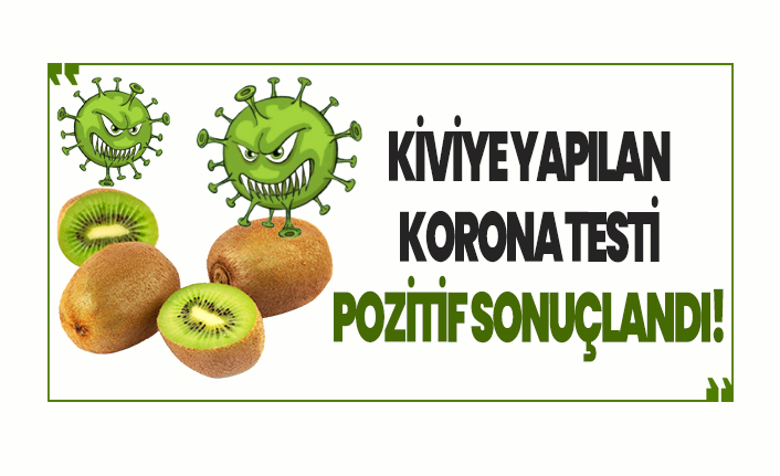 Kiviye yapılan koronavirüs testi pozitif sonuçlandı!