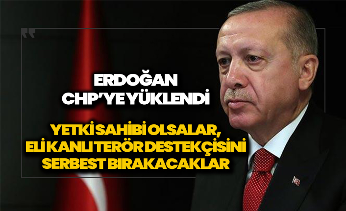 Erdoğan'dan CHP'ye Demirtaş tepkisi