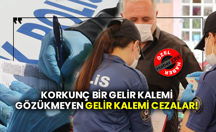 Korkunç bir gelir kalemi gözükmeyen gelir kalemi cezalar!