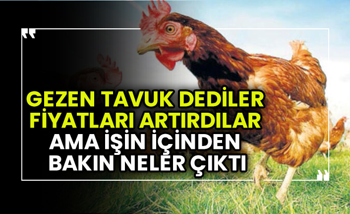 Gezen tavuk yumurtası dediler fiyatları artırdılar ama işin içinden bakın neler çıktı