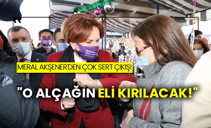 Meral Akşener'den çok sert çıkış!  "O alçağın eli kırılacak!"