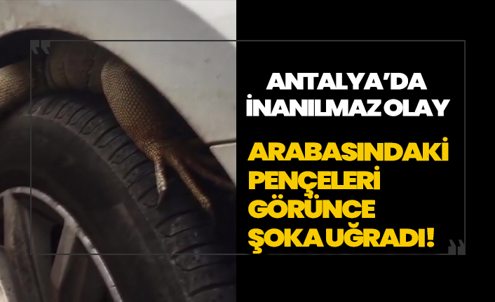 Park halindeki aracının ön tekerinde gördüğü manzara karşısında şaşkına döndü