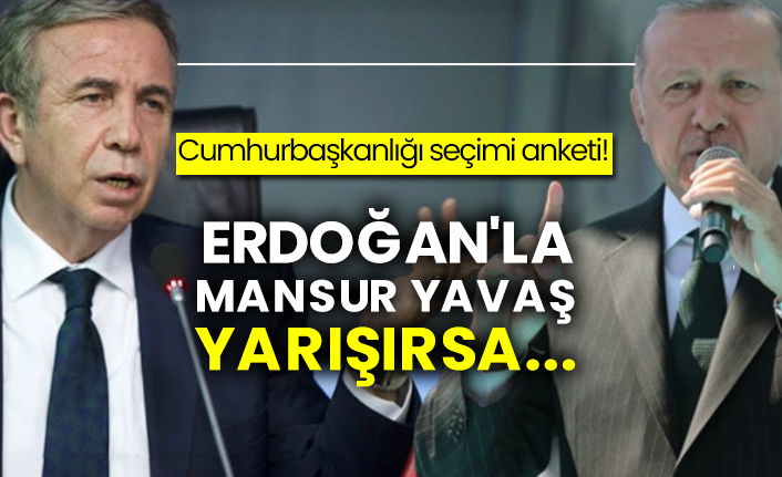 Cumhurbaşkanlığı seçimi anketi!  Erdoğan'la Mansur Yavaş yarışırsa...