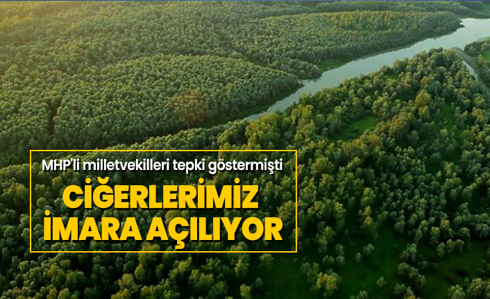MHP'li milletvekilleri tepki göstermişti 'Ormanlar imara açılıyor'