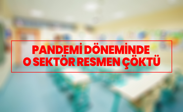 Pandemi döneminde  o sektör resmen çöktü