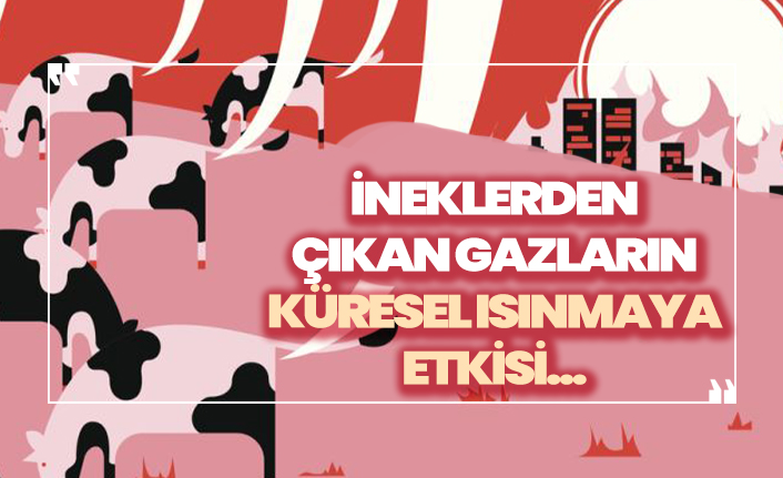 İneklerden çıkan gazların küresel ısınmaya etkisi