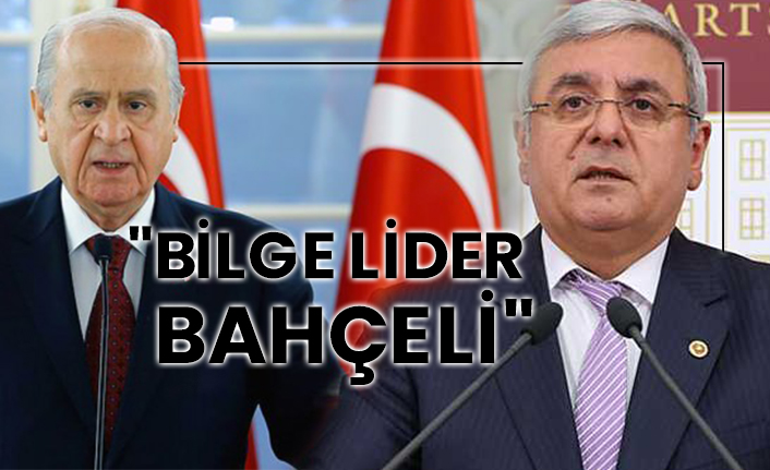 Mehmet Metiner: "Bilge lider Bahçeli"