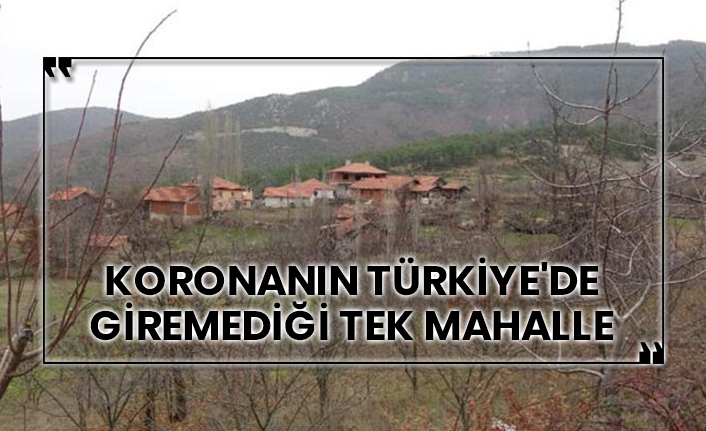 Koronanın Türkiye'de giremediği tek mahalle