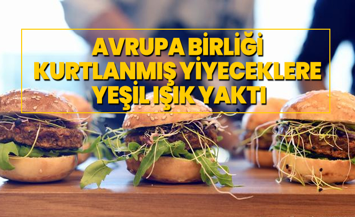 Avrupa Birliği kurtlanmış yiyeceklere yeşil ışık yaktı