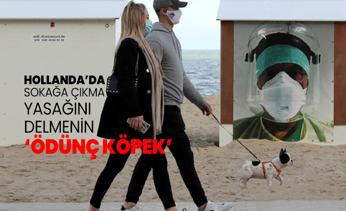 Hollanda’da sokağa çıkma yasağını delmenin adı “Ödünç Köpek”