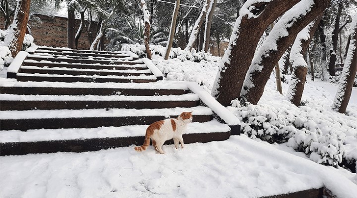 İstanbul'a yine kar geliyor