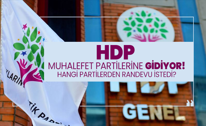 HDP hangi partilerden randevu istedi?