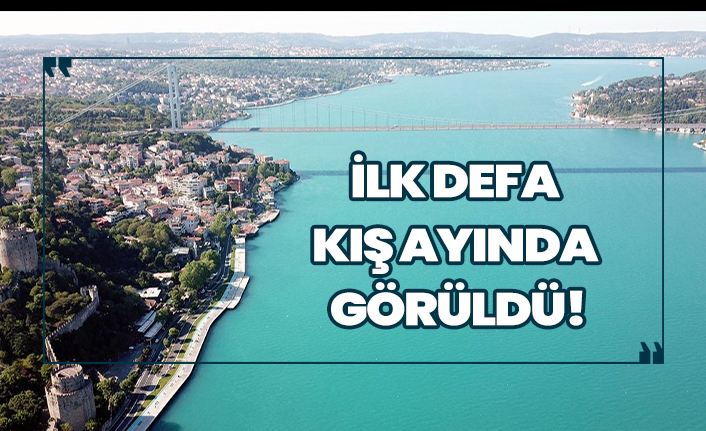 İstanbul Boğazı'nın enfes renk değişimi!