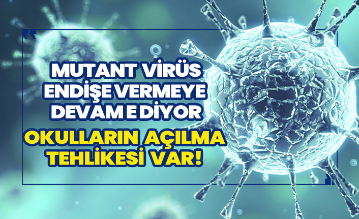 Türkiye'de çeşitli yerlerde rastlanan mutant virüs endişeleri arttırdı