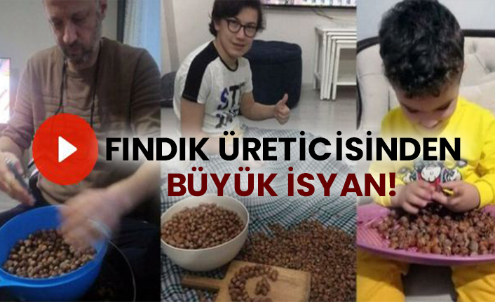 Fındık üreticisinden büyük isyan!
