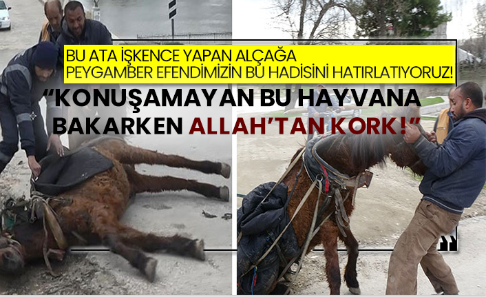 Bu ata işkence yapan alçağa peygamber efendimizin bu hadisini hatırlatıyoruz!  “Konuşamayan bu hayvana bakarken Allah’tan kork!”
