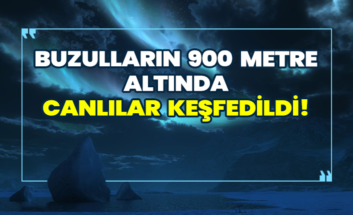 Buzul tabakasının 900 metre altında canlı keşfedildi!