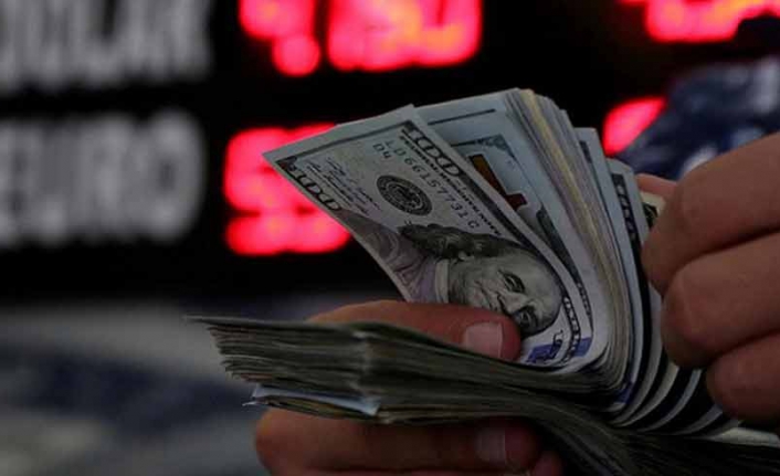 Vatandaşların döviz mevduatı bir haftada milyarlarca dolar arttı