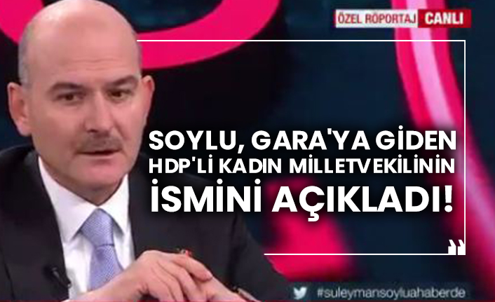 Soylu, Gara'ya giden HDP'li kadın milletvekilinin ismini açıkladı!