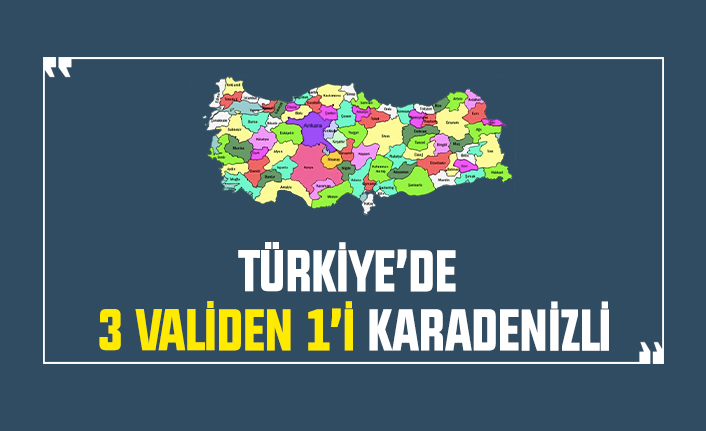 Türkiye'de 3 validen 1'i Karadenizli
