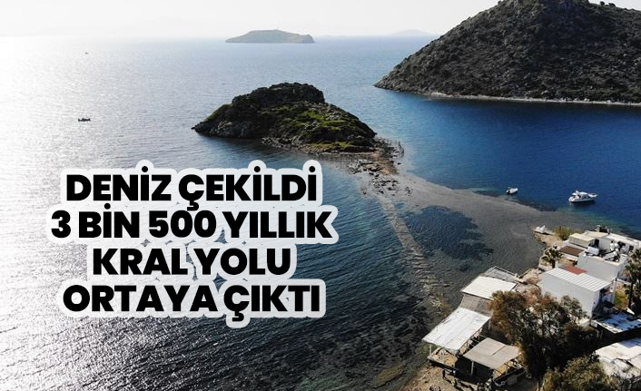 Bodrum'da deniz çekildi,  3 bin 500 yıllık kral yolu ortaya çıktı