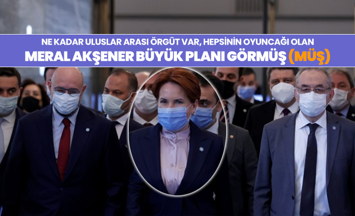 Ne kadar uluslar arası örgüt var, hepsinin oyuncağı olan Meral Akşener büyük planı görmüş (müş)