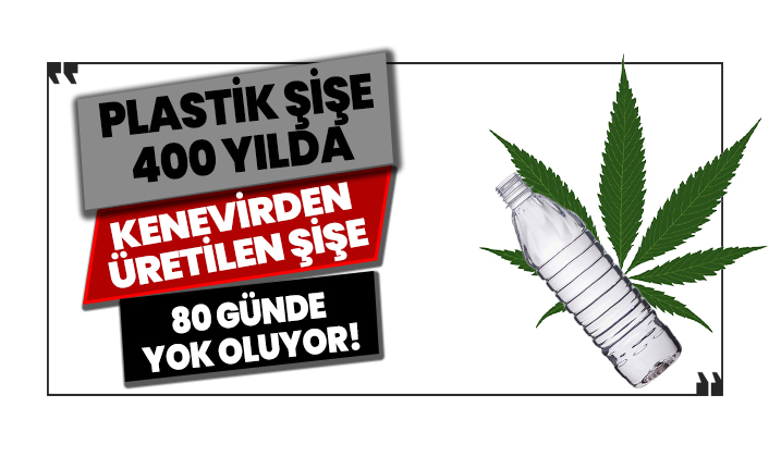 Plastik şişe 400 yılda, kenevirden üretilen pet şişe 80 günde yok oluyor!