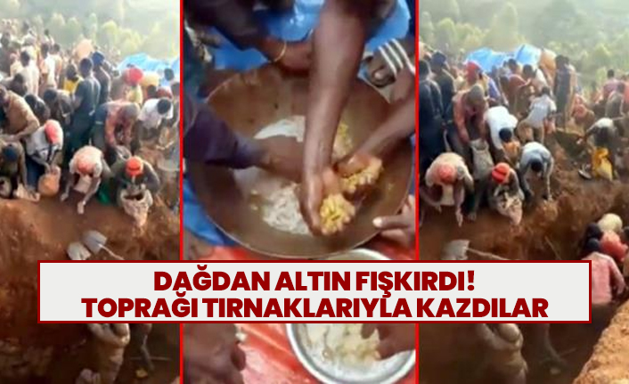 Dağdan altın fışkırdı! toprağı tırnaklarıyla kazdılar