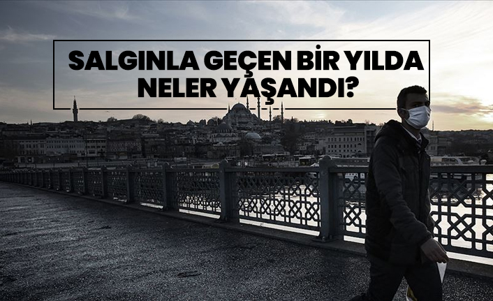 Salgınla geçen bir yılda neler yaşandı?
