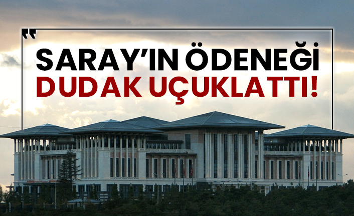 Saray’ın ödeneği dudak uçuklattı!