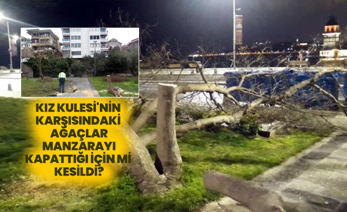 Kız Kulesi'nin  karşısındaki  ağaçlar  manzarayı  kapattığı için mi  kesildi?
