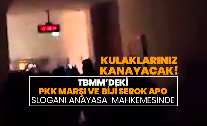 TBMM’deki “PKK marşı ve Biji Serok Apo” sloganı anayasa mahkemesinde