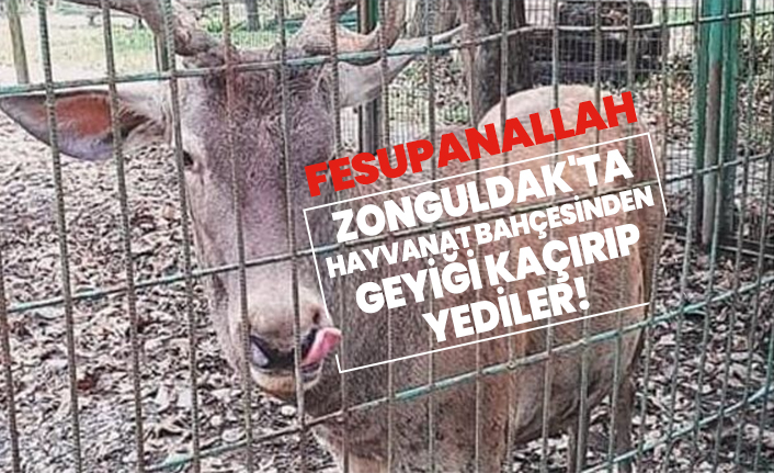 Zonguldak'ta Hayvanat bahçesinden geyiği kaçırıp yediler!